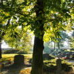 Friedhof Osm 2