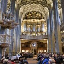 Orgel-Wandel-Wander-Tour